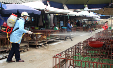 Chủ động phòng chống các bệnh trong thời điểm giao mùa