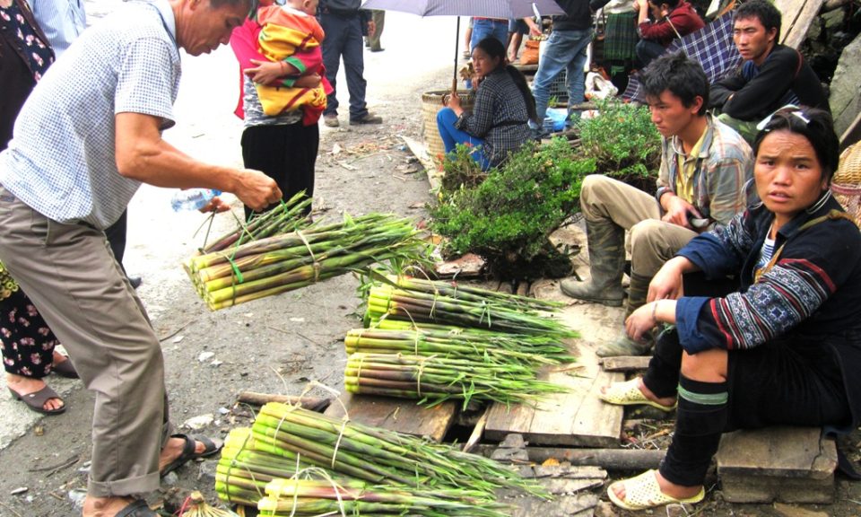 Tây Bắc mùa măng rừng