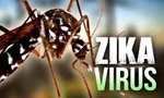 Virus Zika làm ‘bốc hơi’ 18 tỷ USD