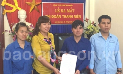 Phát triển tổ chức Đảng, đoàn thể trong doanh nghiệp ngoài Nhà nước