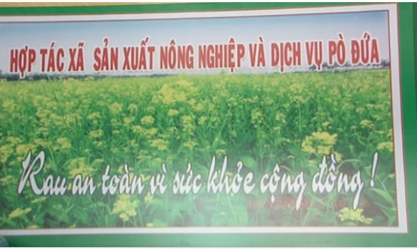 TRƯNG BÀY, QUẢNG BÁ VÀ BÁN RAU AN TOÀN LẠNG SƠN