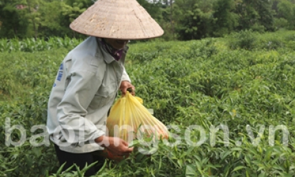 Cách làm sáng tạo