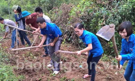 Dấu ấn phong trào xung kích, tình nguyện