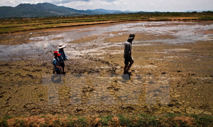 Hiện tượng El Nino có thể xuất hiện vào nửa cuối năm nay