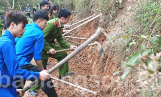 Tình nguyện hướng về cộng đồng