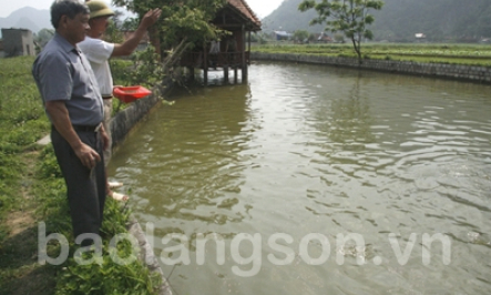 Phát huy truyền thống “Bộ đội Cụ Hồ”