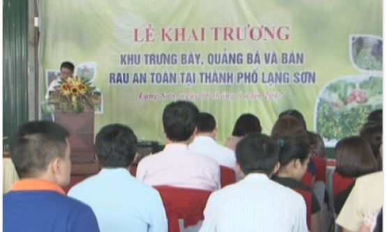 KHAI TRƯƠNG KHU TRƯNG BÀY, QUẢNG BÁ RAU AN TOÀN TẠI THÀNH PHỐ LẠNG SƠN