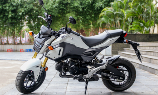 Honda MSX125 - xế &#39;cưng&#39; cho giới trẻ Việt