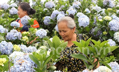 Tập trung phát triển ngành công nghiệp không khói