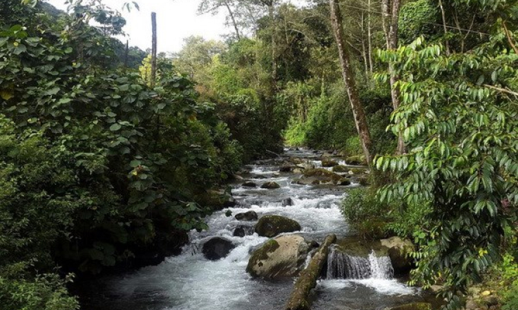 UNESCO công nhận khu dự trữ sinh quyển mới tại Costa Rica