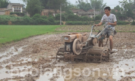 Chú trọng đào tạo nghề và hỗ trợ hội viên