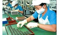 TP.Hồ Chí Minh: Kim ngạch xuất khẩu tăng hơn 17%