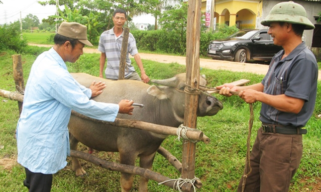 Khống chế, tiến tới loại trừ bệnh dại trên đàn vật nuôi