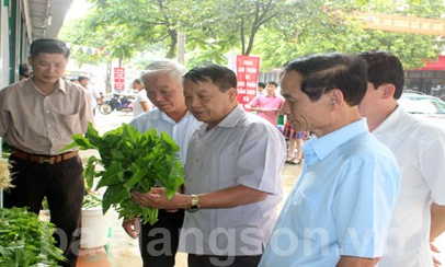 Đoàn giám sát của Hội Cựu chiến binh Việt Nam làm việc tại Lạng Sơn