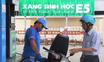 Xăng E5 sẵn sàng ‘soán ngôi’ RON 92 trên thị trường