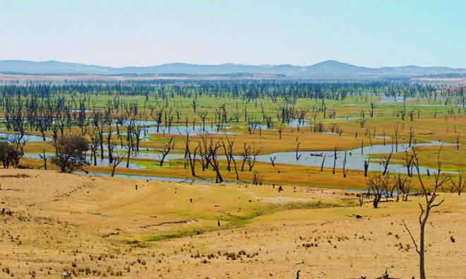 Cảnh báo hiện tượng thời tiết cực đoan El Nino tăng tần suất