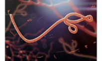 WHO tuyên bố chấm dứt dịch Ebola tại CHDC Congo