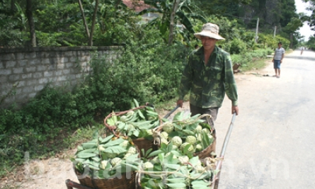 Na Chi Lăng được giá