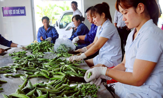 Tạo đột phá trong tái cơ cấu nông nghiệp