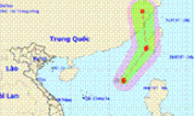 Bão số 5 mạnh tới cấp 8