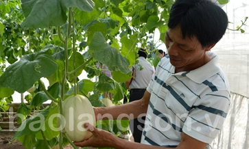 Ứng dụng khoa học - công nghệ gắn với tái cơ cấu nông nghiệp và xây dựng nông thôn mới