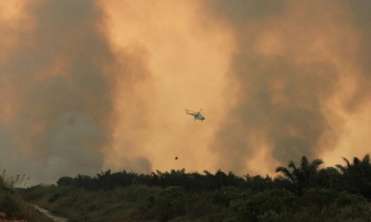 Indonesia huy động hơn 230 máy bay thả bom mưa chống cháy rừng