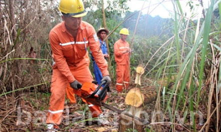 Đảm bảo hành lang bảo vệ an toàn lưới điện cao áp