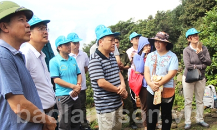 Khảo sát khu Linh địa cổ Mẫu Sơn