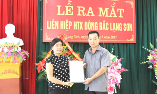 Ra mắt Liên hiệp Hợp tác xã Đông Bắc