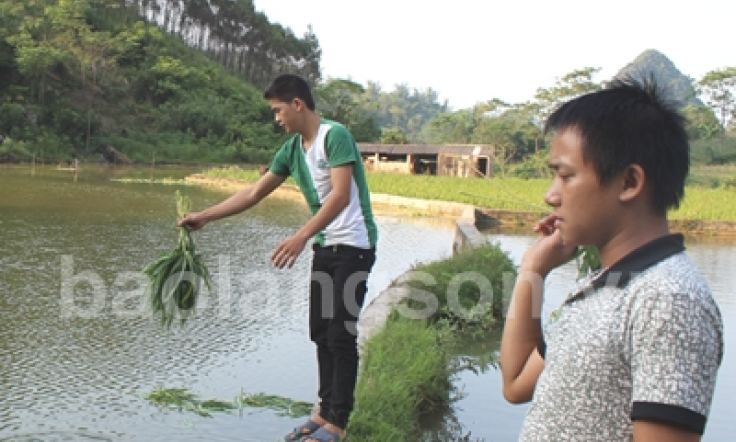 Ghi nhận ở Bắc Sơn