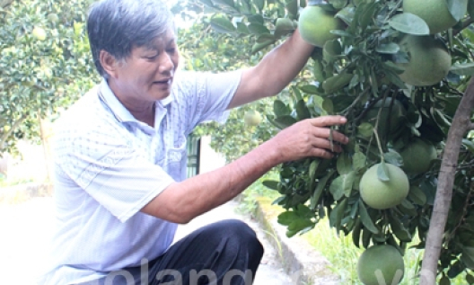 Điểm sáng Chi Lăng