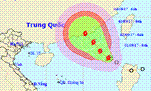 Bão số 8 giật cấp 10