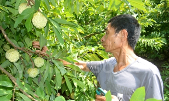 Người đem na đến với Y Tịch