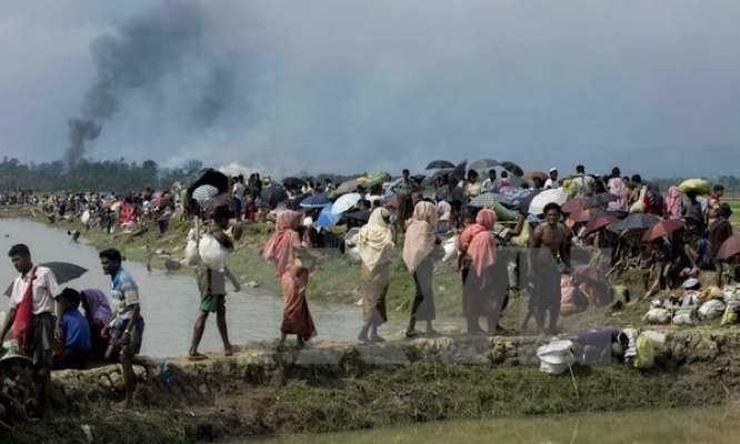 Myanmar đưa các nhà ngoại giao nước ngoài tới bang Rakhine