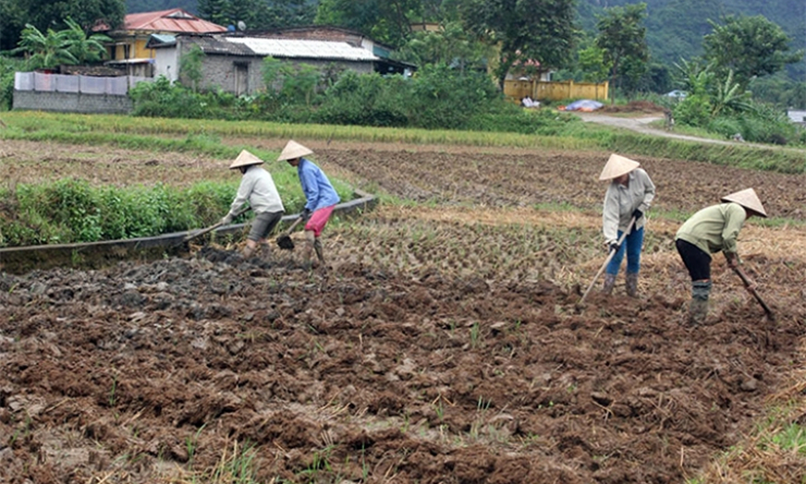 Các địa phương, đơn vị hỗ trợ người dân vùng lũ khôi phục sản xuất