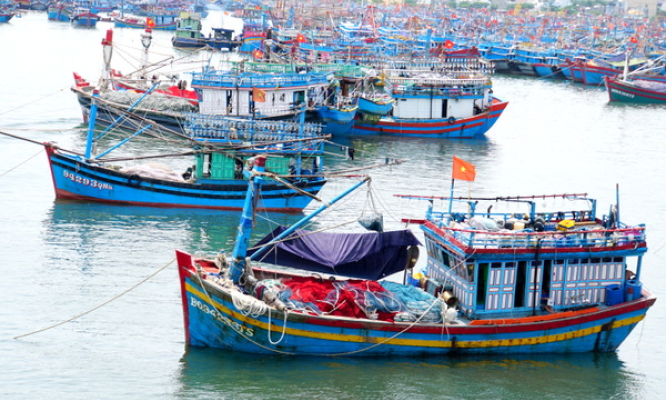 Đà Nẵng: Chủ động ứng phó với bão số 11 trên Biển Đông