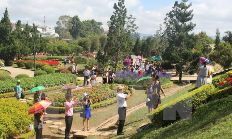 Phát miễn phí 10.000 bản đồ du lịch trong dịp Festival hoa Đà Lạt