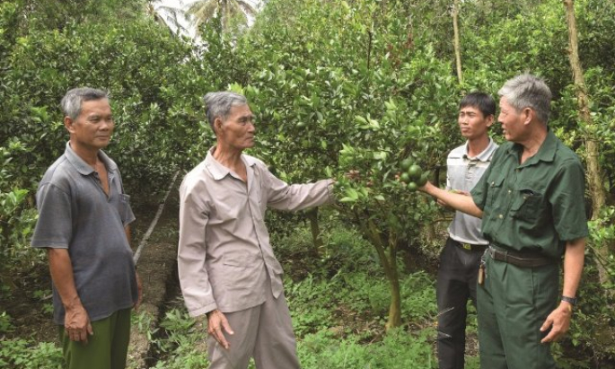 Cựu chiến binh Nghệ An tích cực góp phần xây dựng quê hương mạnh giàu