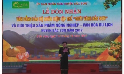 ĐÓN NHẬN VĂN BẰNG BẢO HỘ NHÃN HIỆU TẬP THỂ "QUÝT VÀNG BẮC SƠN"