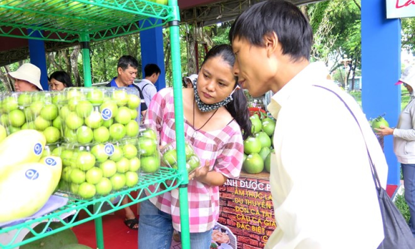 Hà Nội gắn biển nhận diện các cửa hàng kinh doanh trái cây an toàn