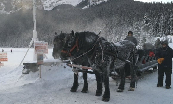 Nhiệt độ một số vùng tại Canada có thể xuống tới âm 40 độ C