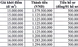 Thông báo bán đấu giá tài sản