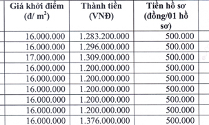 Thông báo đấu giá quyền sử dụng đất