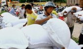 Hỗ trợ gạo cho 4 tỉnh