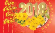 Việt Nam vững bước tiến vào năm 2018