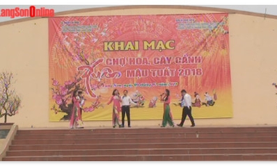 KHAI MẠC HỘI CHỢ HOA, CÂY CẢNH XUÂN MẬU TUẤT 2018