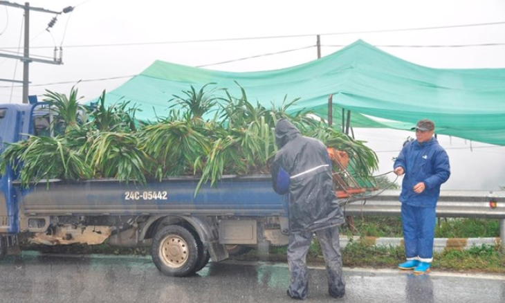 Bắc Bộ và Trung Bộ mưa rét, vùng núi cao có thể có băng giá