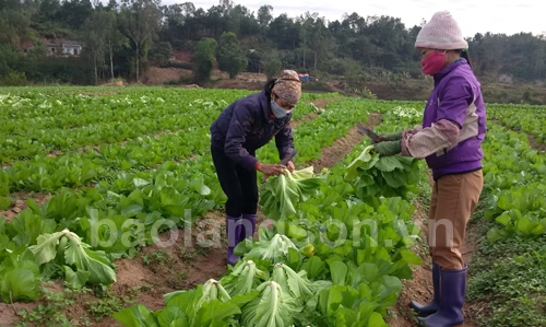 Đảm bảo an toàn giao thông mùa lễ hội