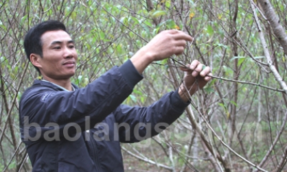 Người nông dân năng động phát triển kinh tế