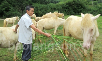 “Cánh tay nối dài” dẫn vốn đến người dân